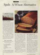 Better Homes & Gardens March 1994 Magazine Article: Page G2