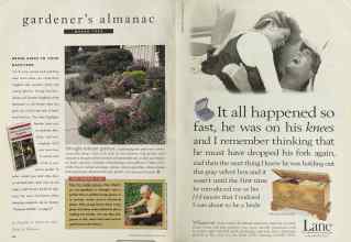 Better Homes & Gardens March 1994 Magazine Article: Page 64