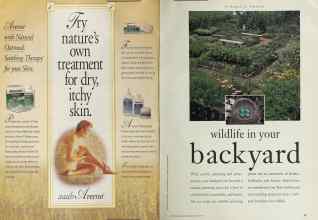 Better Homes & Gardens March 1994 Magazine Article: Page 66