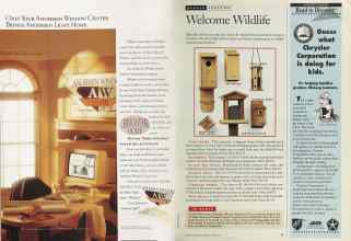 Better Homes & Gardens March 1994 Magazine Article: Page 78