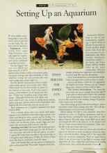Better Homes & Gardens April 1994 Magazine Article: Setting Up an Aquarium