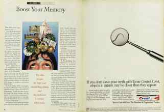 Better Homes & Gardens April 1994 Magazine Article: Page 42