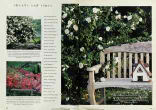 Better Homes & Gardens April 1994 Magazine Article: Page 98