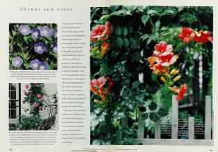 Better Homes & Gardens April 1994 Magazine Article: Page 102