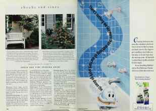 Better Homes & Gardens April 1994 Magazine Article: Page 104