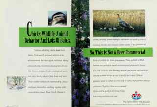 Better Homes & Gardens April 1994 Magazine Article: Page 130