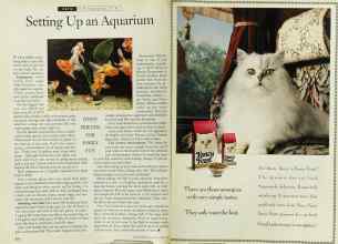 Better Homes & Gardens April 1994 Magazine Article: Page 210