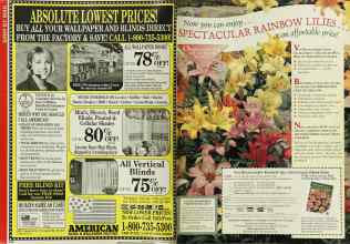 Better Homes & Gardens April 1994 Magazine Article: Page 216