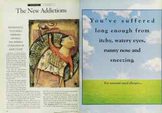 Better Homes & Gardens May 1994 Magazine Article: Page 42