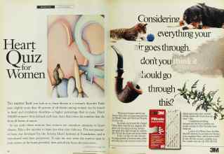 Better Homes & Gardens May 1994 Magazine Article: Page 64