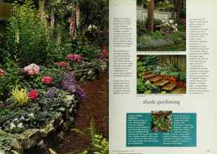 Better Homes & Gardens May 1994 Magazine Article: Page 114