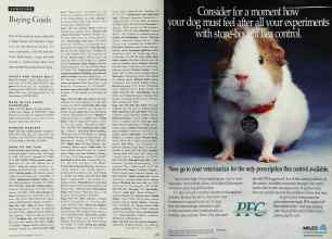 Better Homes & Gardens May 1994 Magazine Article: Page 170