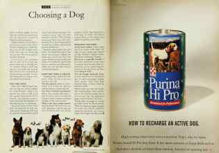 Better Homes & Gardens May 1994 Magazine Article: Page 228