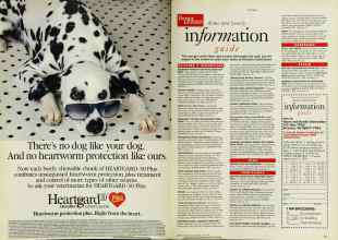 Better Homes & Gardens May 1994 Magazine Article: Page 230