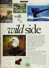 Better Homes & Gardens June 1994 Magazine Article: Walk on the wild side