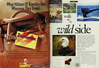 Better Homes & Gardens June 1994 Magazine Article: Page 20