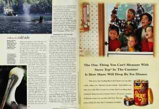 Better Homes & Gardens June 1994 Magazine Article: Page 22