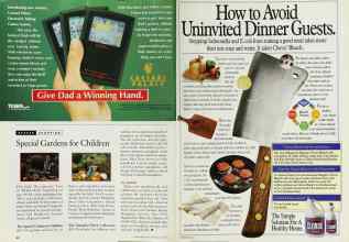 Better Homes & Gardens June 1994 Magazine Article: Page 42