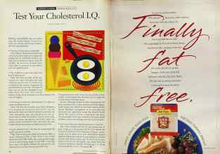 Better Homes & Gardens June 1994 Magazine Article: Page 64