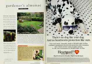 Better Homes & Gardens June 1994 Magazine Article: Page 92