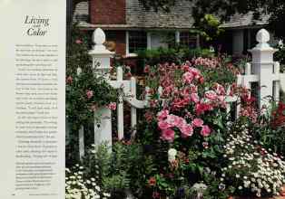 Better Homes & Gardens June 1994 Magazine Article: Page 114