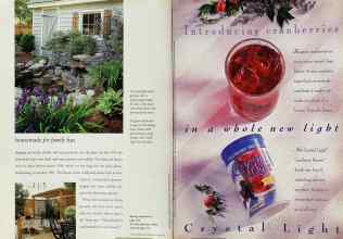 Better Homes & Gardens June 1994 Magazine Article: Page 124