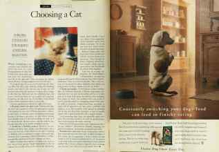 Better Homes & Gardens June 1994 Magazine Article: Page 198