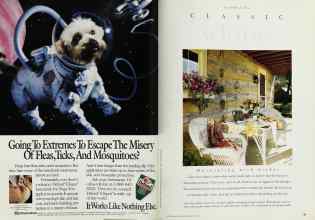 Better Homes & Gardens July 1994 Magazine Article: Page 88