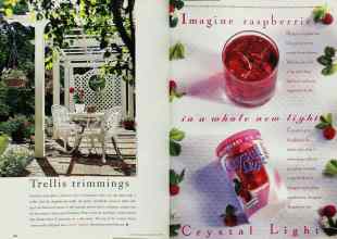 Better Homes & Gardens July 1994 Magazine Article: Page 106