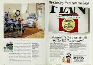 Better Homes & Gardens July 1994 Magazine Article: Page 114
