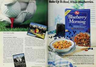 Better Homes & Gardens August 1994 Magazine Article: Page 18