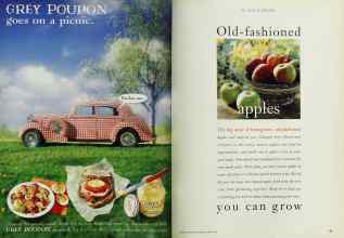 Better Homes & Gardens August 1994 Magazine Article: Page 54