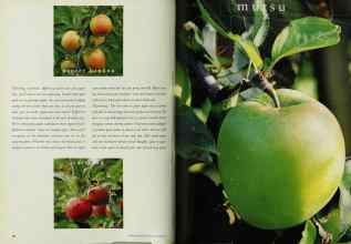 Better Homes & Gardens August 1994 Magazine Article: Page 56