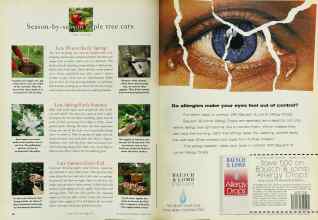 Better Homes & Gardens August 1994 Magazine Article: Page 60