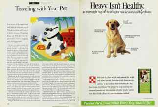 Better Homes & Gardens August 1994 Magazine Article: Page 136