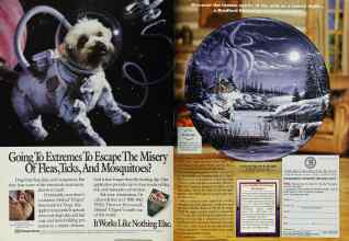 Better Homes & Gardens August 1994 Magazine Article: Page 140