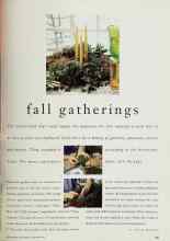 Better Homes & Gardens September 1994 Magazine Article: Fall gatherings