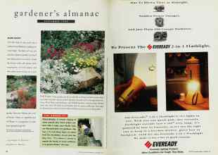 Better Homes & Gardens September 1994 Magazine Article: Page 62