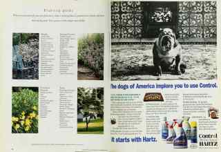 Better Homes & Gardens September 1994 Magazine Article: Page 72