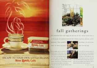 Better Homes & Gardens September 1994 Magazine Article: Page 82