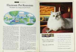 Better Homes & Gardens September 1994 Magazine Article: Page 200