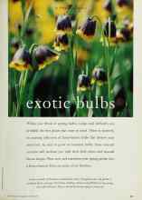 Better Homes & Gardens October 1994 Magazine Article: Exotic bulbs