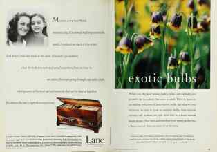 Better Homes & Gardens October 1994 Magazine Article: Page 64