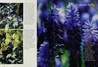 Better Homes & Gardens October 1994 Magazine Article: Page 66