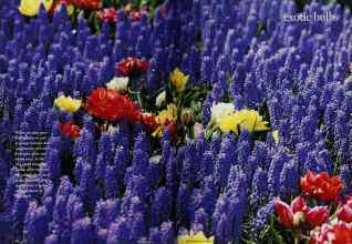 Better Homes & Gardens October 1994 Magazine Article: Page 70