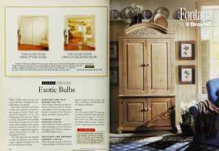 Better Homes & Gardens October 1994 Magazine Article: Page 74