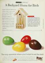Better Homes & Gardens November 1994 Magazine Article: A Backyard Home for Birds