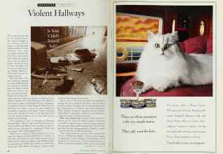 Better Homes & Gardens November 1994 Magazine Article: Page 36