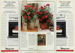Better Homes & Gardens November 1994 Magazine Article: Page 80