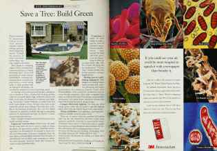 Better Homes & Gardens November 1994 Magazine Article: Page 144